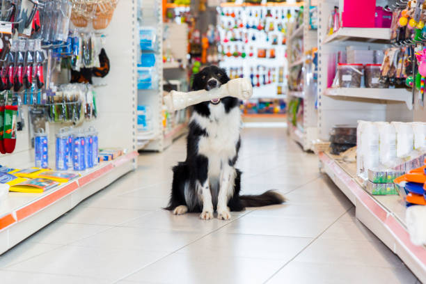 IA para Petshop